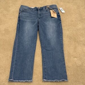 Democracy Women's Blue Jeans ab technology curve size 16 NWT